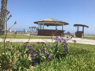 a garden with purple flowers and a gazebo at Paracas vista al mar in Paracas
