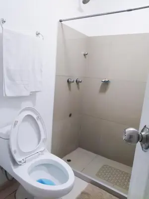 a white bathroom with a toilet and a shower at Departamento Monterrico in Lima