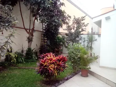 a garden with flowers and plants next to a building at Hospedaje La Anita in Lima