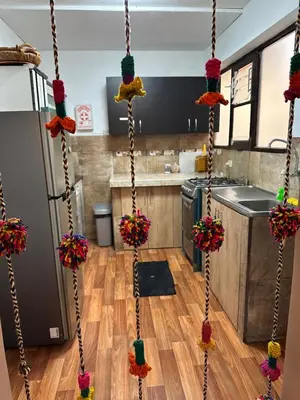 a kitchen with hanging plants in a room at Euler House`s in Cusco