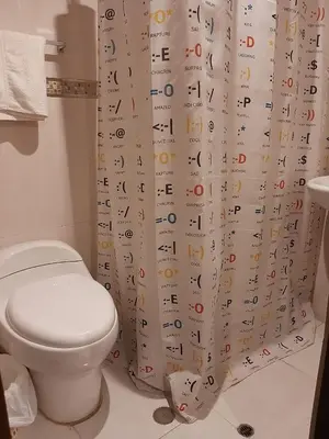 a bathroom with a toilet and a shower curtain at Hotel Las Lomas in Huancayo