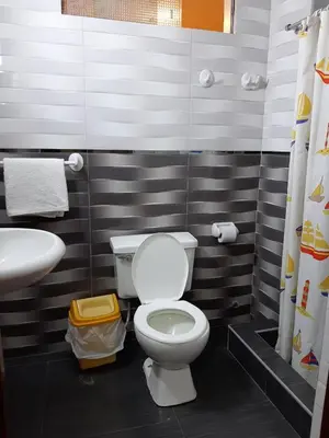 a bathroom with a toilet and a sink at Hotel Las Lomas in Huancayo