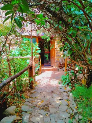 a walkway leading to a building in a forest at Hospedaje K'uchuwasi in Ollantaytambo
