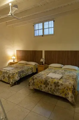 a bedroom with two beds and two windows at Wild Olive Guest House in Ica