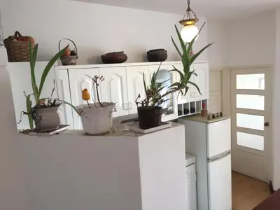 a kitchen with potted plants on top of a counter at Best place in Plaza Mayor Lima, Pizarro building in Lima