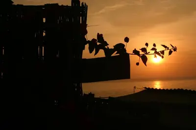 a group of birds flying in front of the sunset at Cruz del Sur in Pucusana