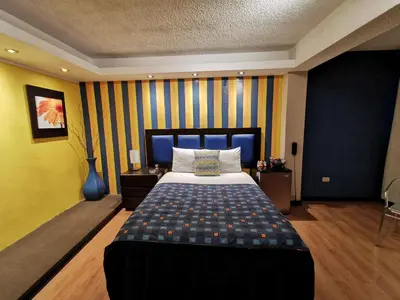 a bedroom with a bed and a striped wall at Fantasy Suites in Lima