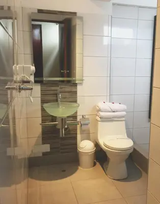 a bathroom with a toilet and a sink at Fantasy Suites in Lima