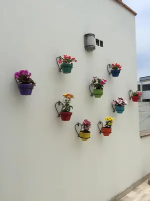 a wall with pots of flowers on it at Kelebek Hostel in Lima