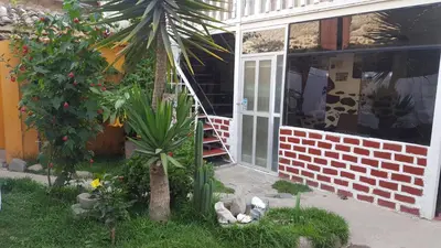a house with a palm tree in the front yard at Killari B&B in Ollantaytambo