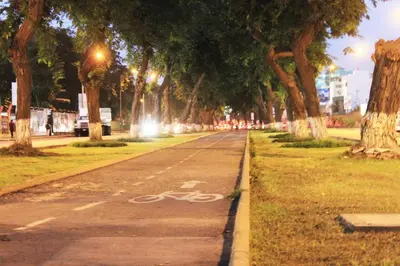 a bike path in a park with trees at Departamento Lima in Lima