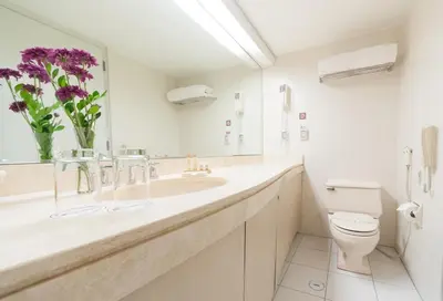a bathroom with a sink and a toilet and a mirror at Roosevelt Hotel & Suites in Lima