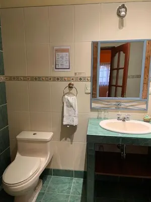 a bathroom with a toilet and a sink and a mirror at Amerindia in Cusco