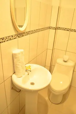 a bathroom with a white sink and a toilet at Rosenverg B&B Tours in Lima