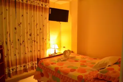 a bedroom with a bed with a lamp and a curtain at Rosenverg B&B Tours in Lima