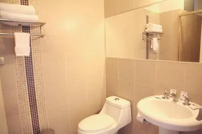 a bathroom with a toilet and a sink at Hotel Rivera Inn in Lima