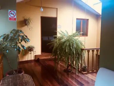 a hallway with two potted plants and a staircase at Eureka San Blas in Cusco