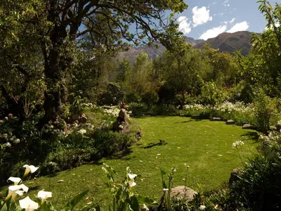 a garden with a lawn with flowers and trees at Willka T'ika in Urubamba