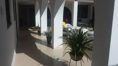 a hallway with potted plants and tables and chairs at La Maison de Lydia in Nazca