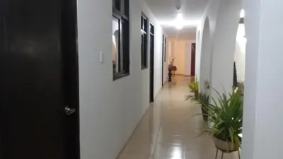 a hallway with white walls and a black door and plants at La Maison de Lydia in Nazca