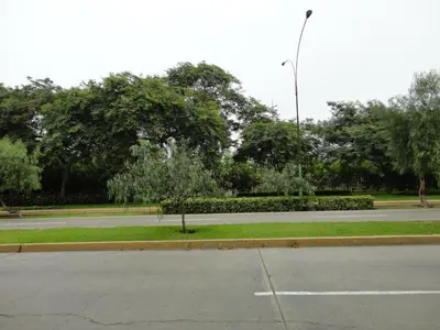 an empty street in a park with a street light at San Borja, bello apartamento in Lima