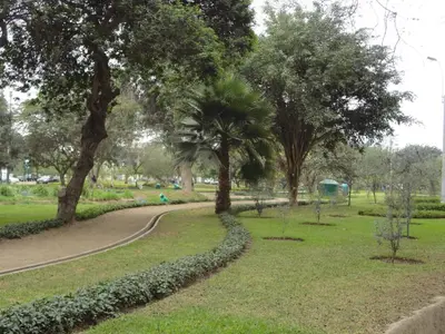 a path in a park with trees and grass at San Borja, bello apartamento in Lima