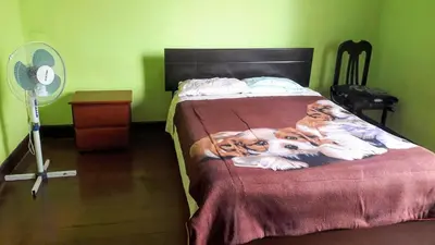 two dogs laying on a bed next to a fan at Habitaciones para Estudiantes Y/o Mochileros in Lima