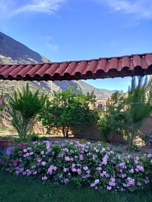 a garden with purple flowers in the grass at La Finca Tarma in Tarma