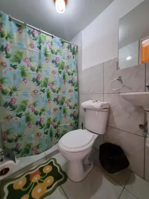 a bathroom with a toilet and a shower curtain at La Casa de Laura - Plaza in Cusco
