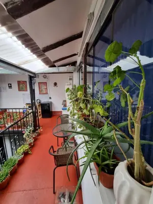 a room filled with lots of potted plants at La Casa de Laura - Plaza in Cusco