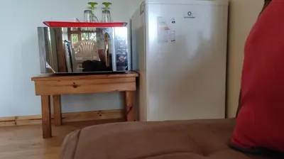 a mirror on a table next to a white refrigerator at San Alberto Ecolodge in Oxapampa