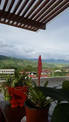 a plant sitting on top of a table with a view at Terraza Apart Hotel in Pichanaki