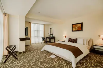 a hotel room with a bed and a television at Hotel Nobility in Lima