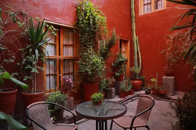 a patio with a table and chairs and potted plants at San Agustin Internacional in Cusco