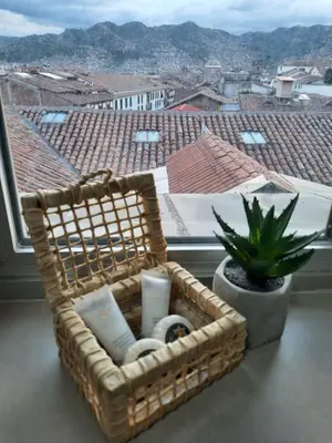 a wicker basket sitting on a window sill with a plant at Hotel Sueños del Inka in Cusco