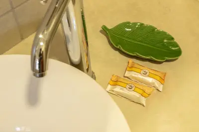 a sink with a faucet next to a green leaf at Amaru Inca in Cusco