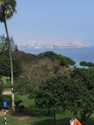 a palm tree and a house on a hill with the ocean at Miraflores Frente al Mar in Lima