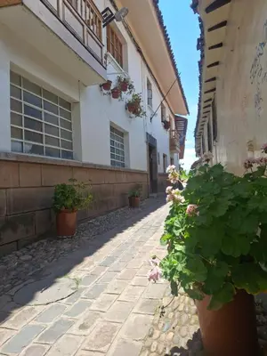 a building with potted plants on the side of a street at Departamentos Cusco in Cusco