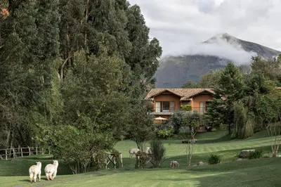 a house with sheep standing in front of it at Rio Sagrado, A Belmond Hotel, Sacred Valley in Urubamba
