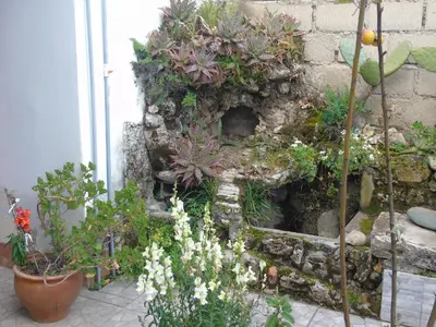 a garden with flowers and plants on a stone wall at Pousada Villa Huaripampa in Jauja