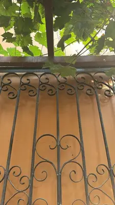 a metal fence with a window and some leaves at Hotel La Casona in Pisco