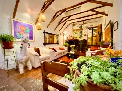 a living room filled with furniture and lots of plants at Hostal Madre Tierra in Cusco