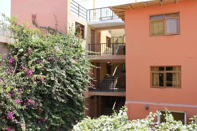 a building with a flowering bush in front of a building at Hostal Tambo Colorado in Pisco