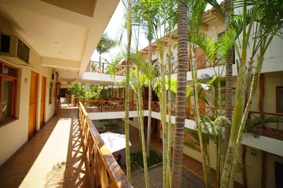 a hallway with palm trees in a building at Casa Andina Standard Nasca in Nazca
