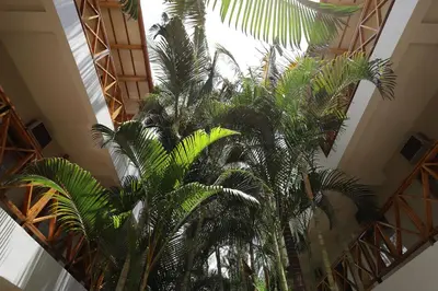 a palm tree in a building with a ceiling at Casa Andina Standard Nasca in Nazca