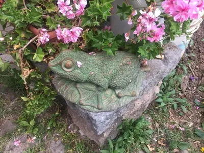 a green frog statue on a rock with flowers at Casona Mollepata in Mollepata
