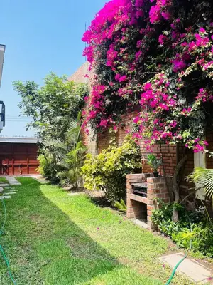a garden with pink flowers on a brick building at Hospedaje Casa de Playa Arica in Lurín