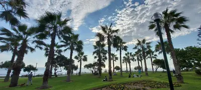 a park with palm trees and a street light at Habitación con dos camas, baño privado, terraza y cocina compartida en Miraflores in Lima