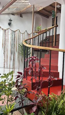 a staircase in a house with a plant at Casona les Pleiades in Cusco