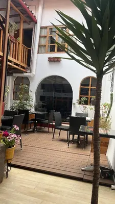 a wooden deck with chairs and a palm tree at Casona les Pleiades in Cusco